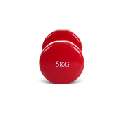 Vinyl Dipped Dumbbells