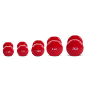 Vinyl Dipped Dumbbells